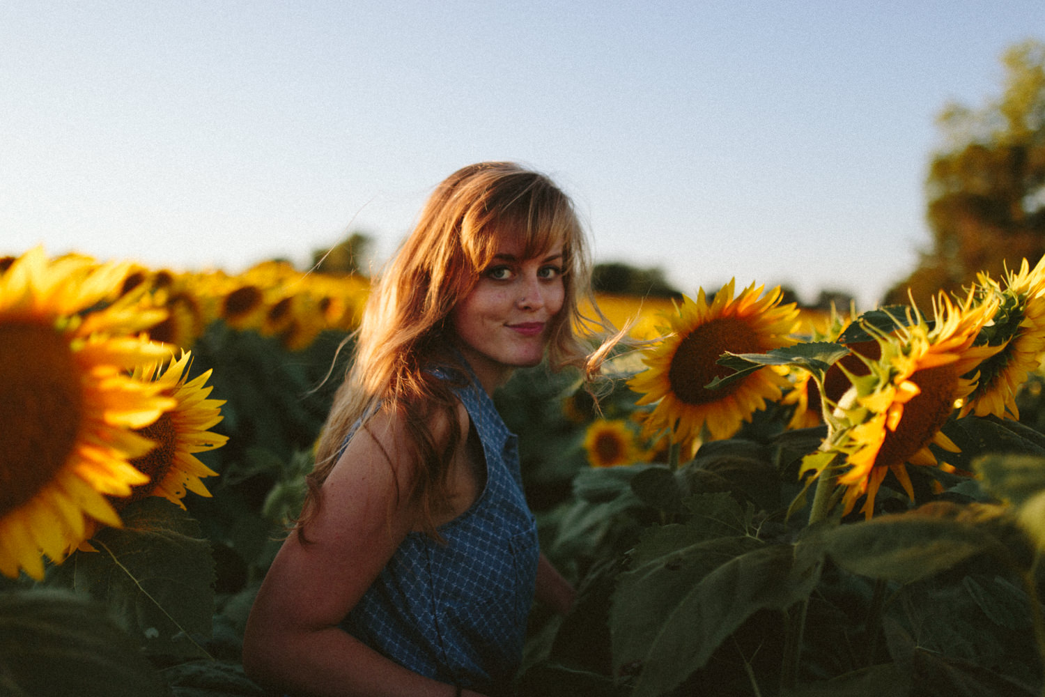 Grinters Sunflowers, Lawrence KS Portraits | Casie — Ali Happer ...
