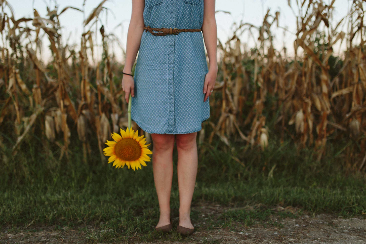 Grinters Sunflowers, Lawrence KS Portraits Casie — Ali Happer