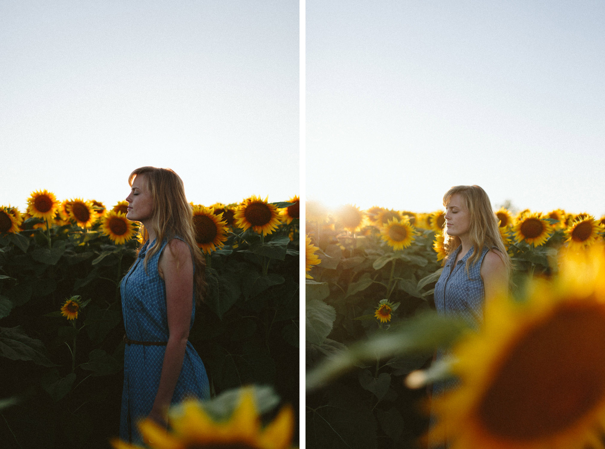 Sunflower Field Grinter's Farm in Lawrence KS-36 copy.jpg