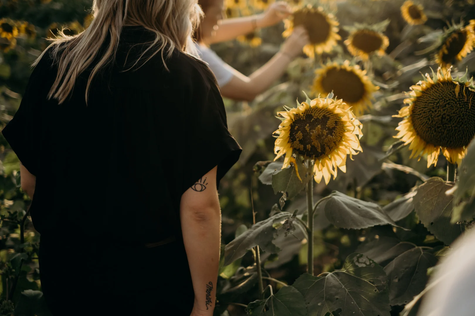 20170909_Grinters Farms Sunflower Fields Lawrence Kansas__2.jpg