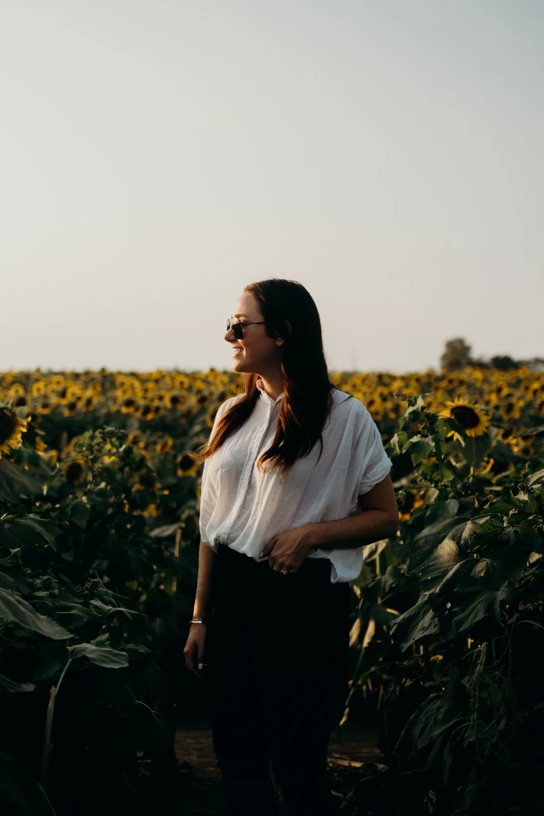 20170909_Grinters Farms Sunflower Fields Lawrence Kansas__11.jpg