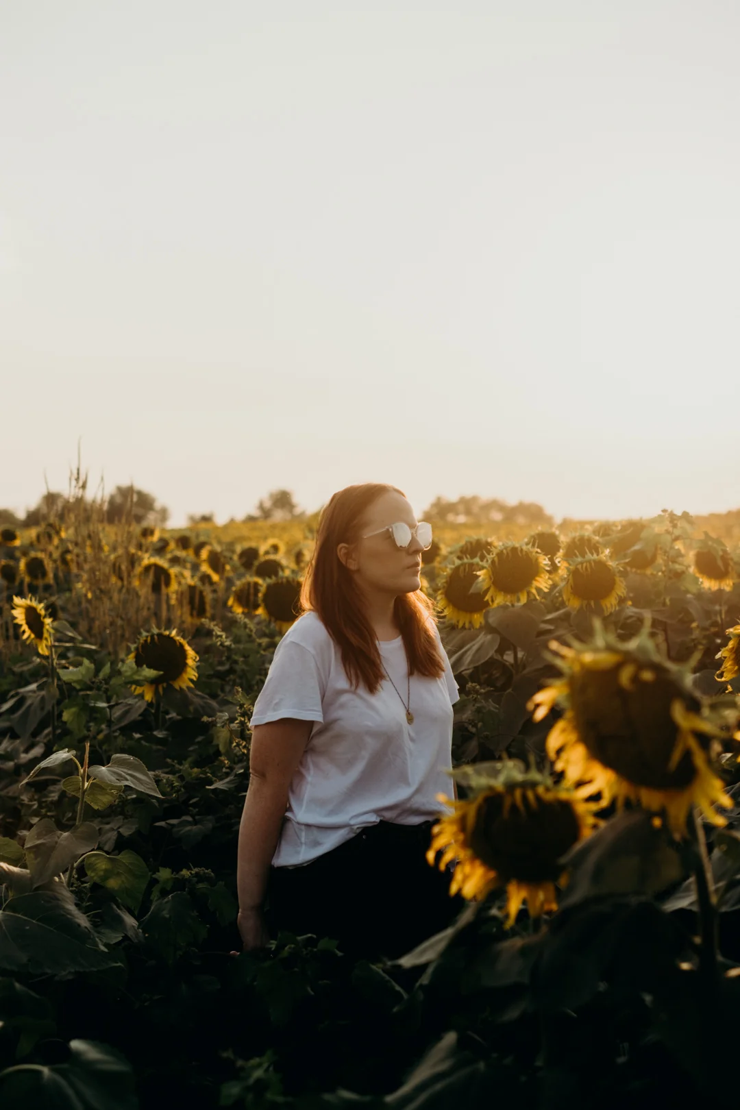 20170909_Grinters Farms Sunflower Fields Lawrence Kansas__17.jpg