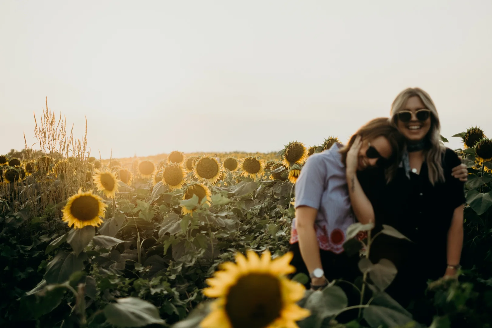 20170909_Grinters Farms Sunflower Fields Lawrence Kansas__20.jpg
