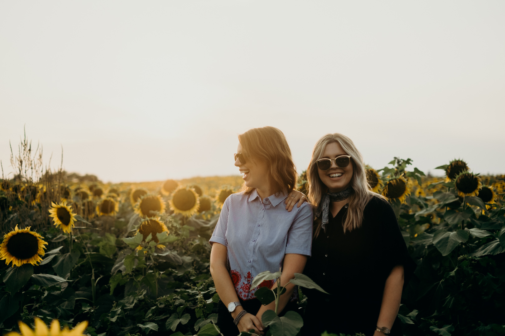 20170909_Grinters Farms Sunflower Fields Lawrence Kansas__21.jpg