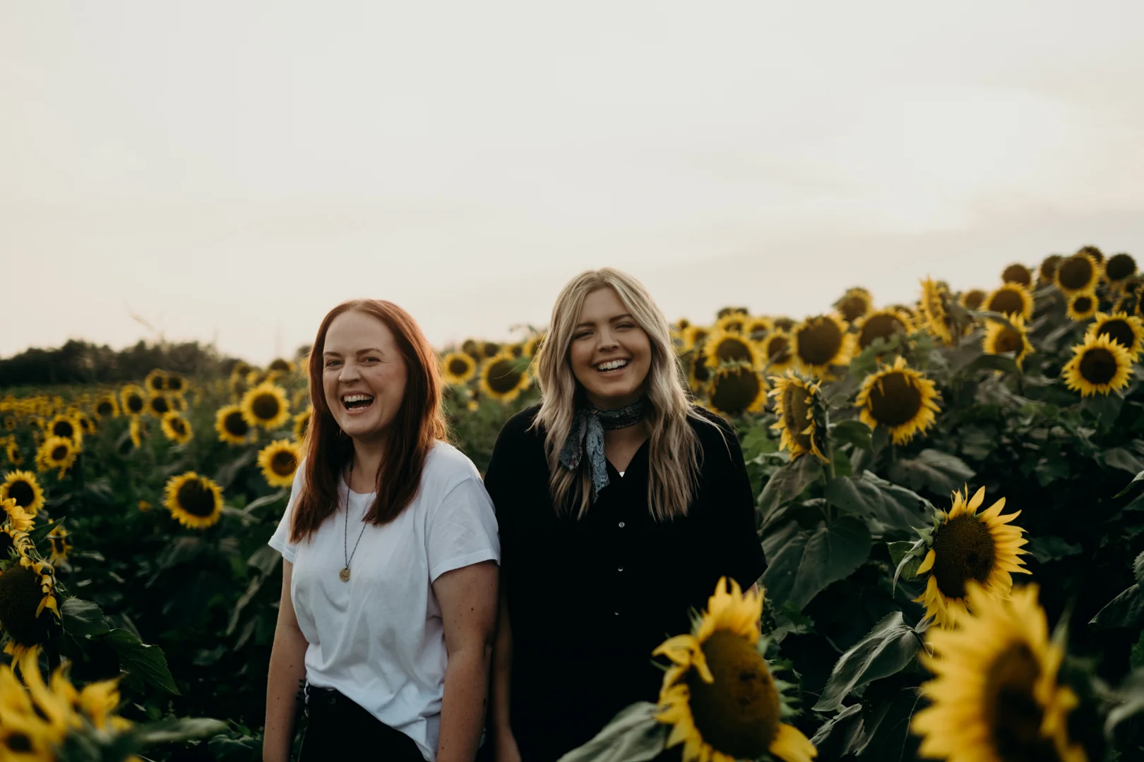 20170909_Grinters Farms Sunflower Fields Lawrence Kansas__24.jpg