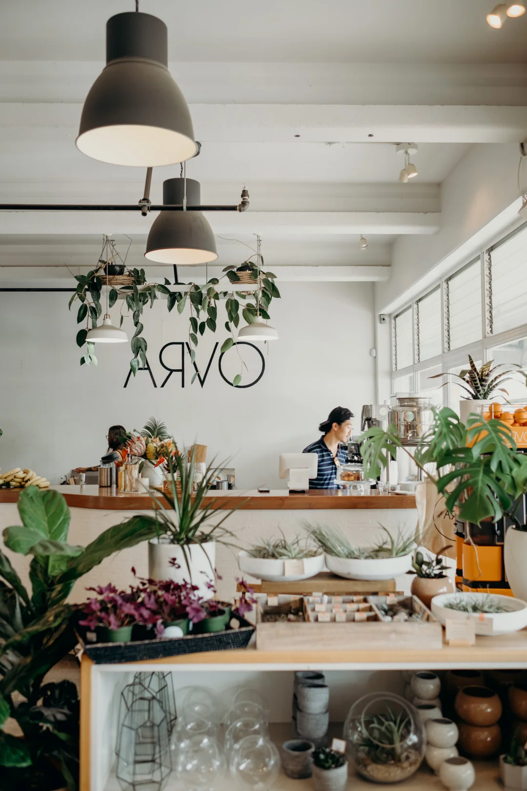 20180417_Visit Hawaii_Honolulu_Arvo_29.jpg