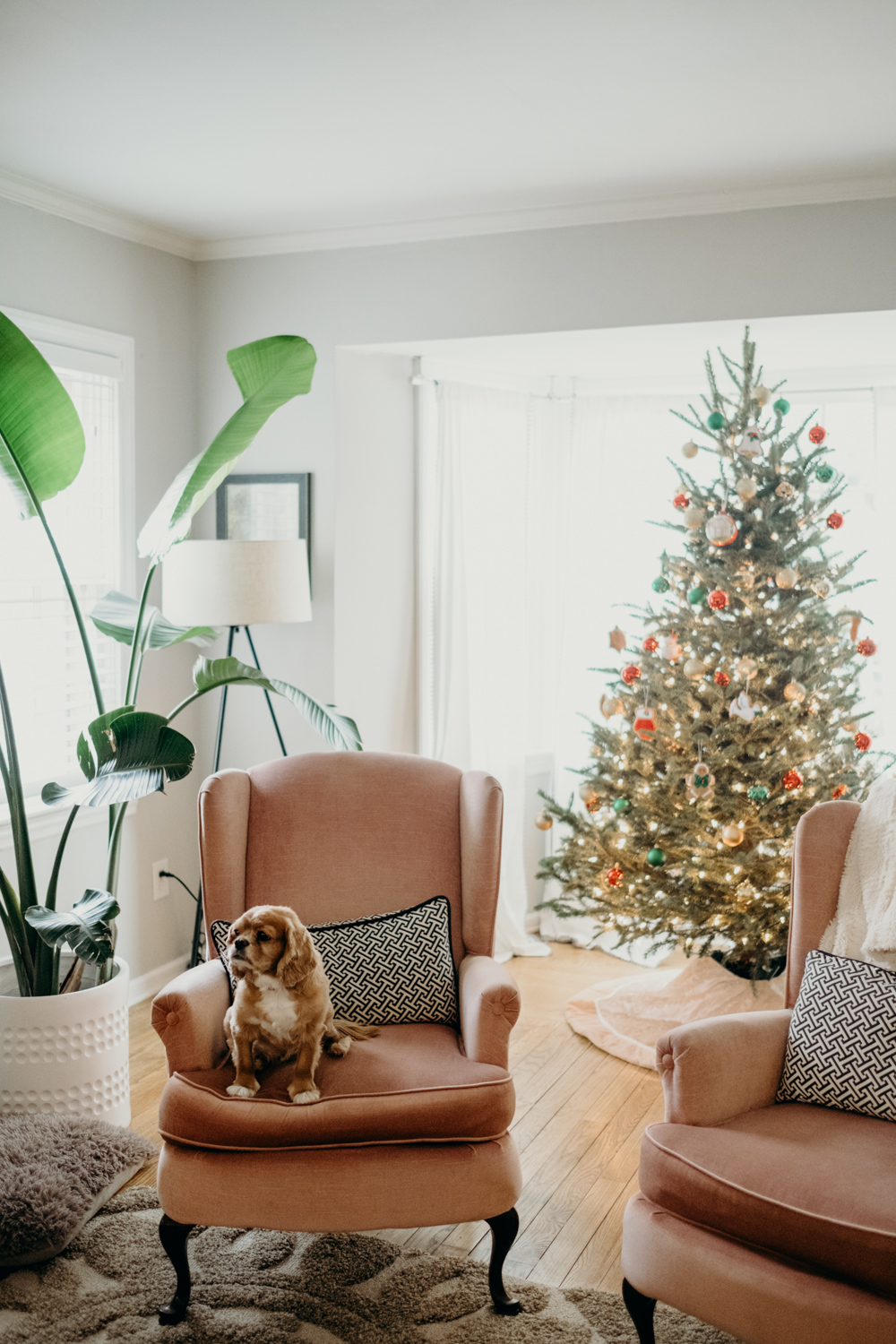 20181202_ChristmasCouplePhotographer_AliHapperPhoto_1.jpg