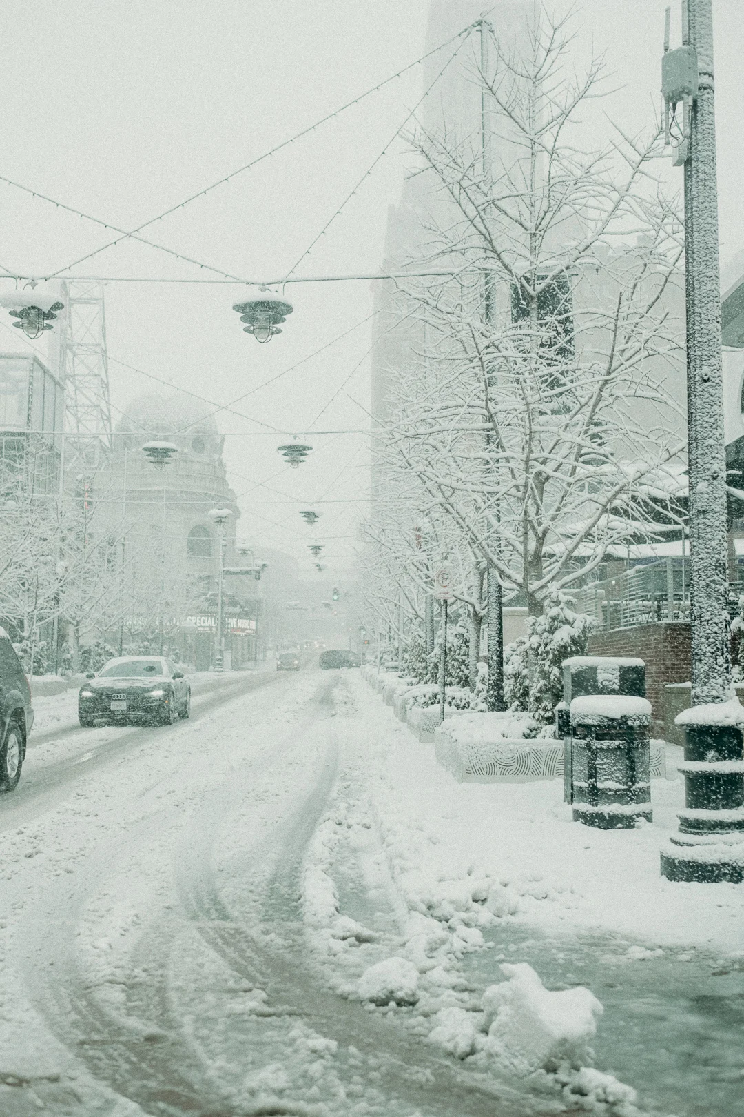 20190112_snowydaysin_kansascity_alihapperphoto_2.jpg