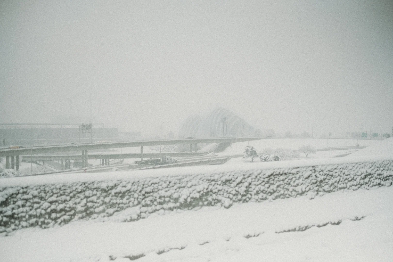 20190112_snowydaysin_kansascity_alihapperphoto_22.jpg