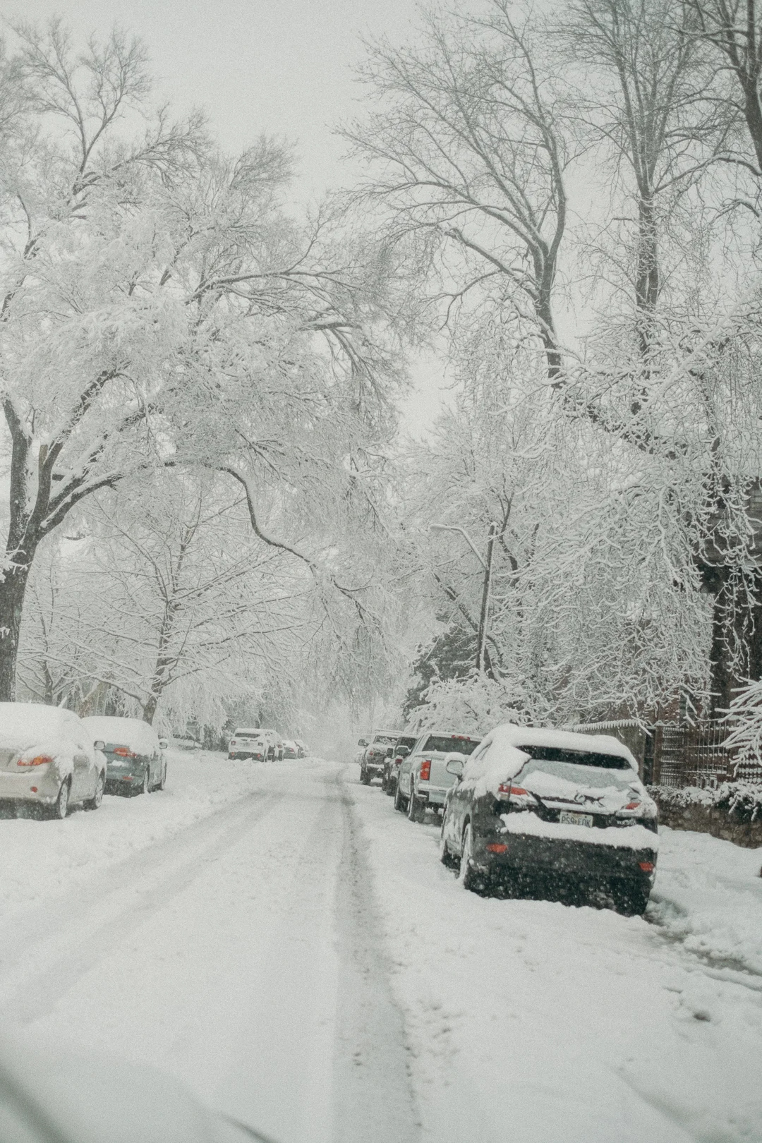 20190112_snowydaysin_kansascity_alihapperphoto_21.jpg