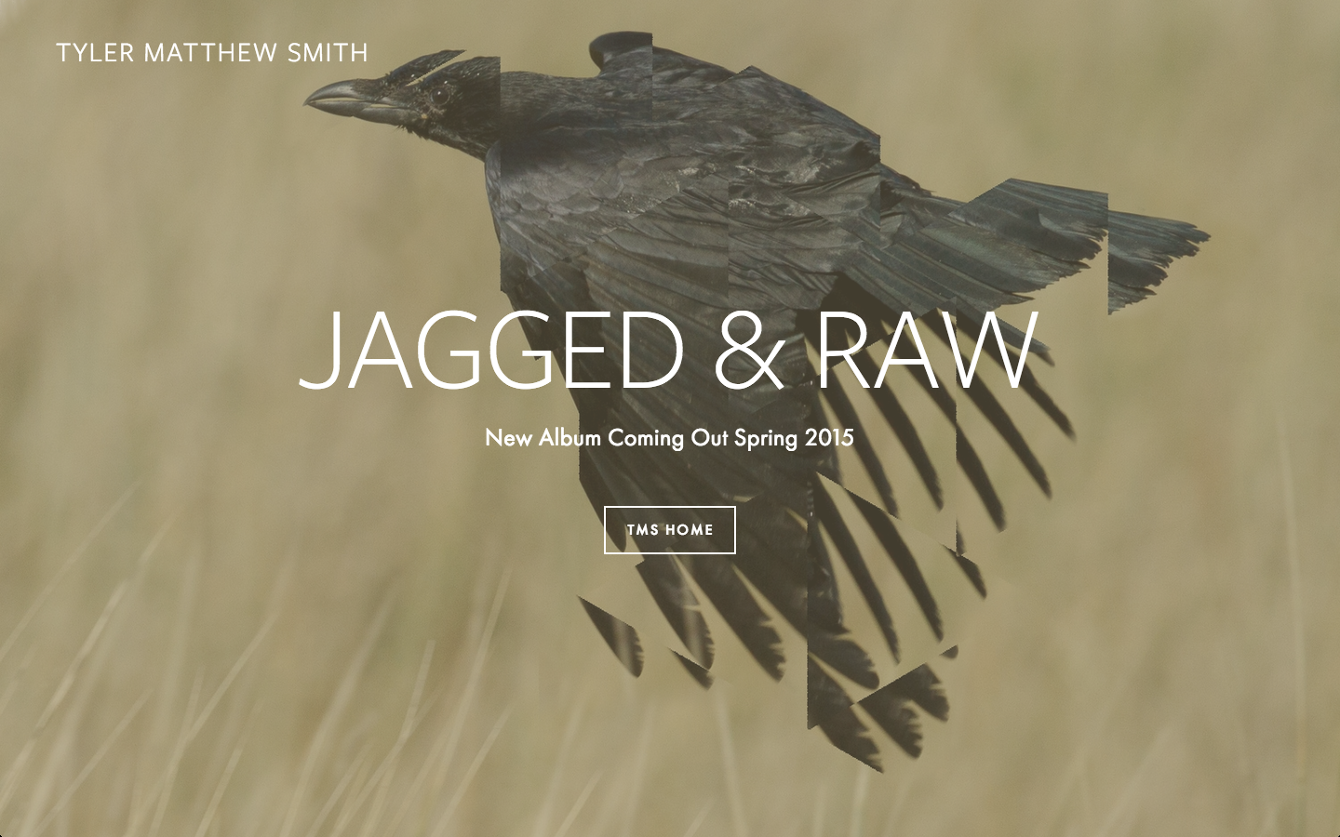 Tyler-Matthew-Smith-Landing-Page_1340_c.png