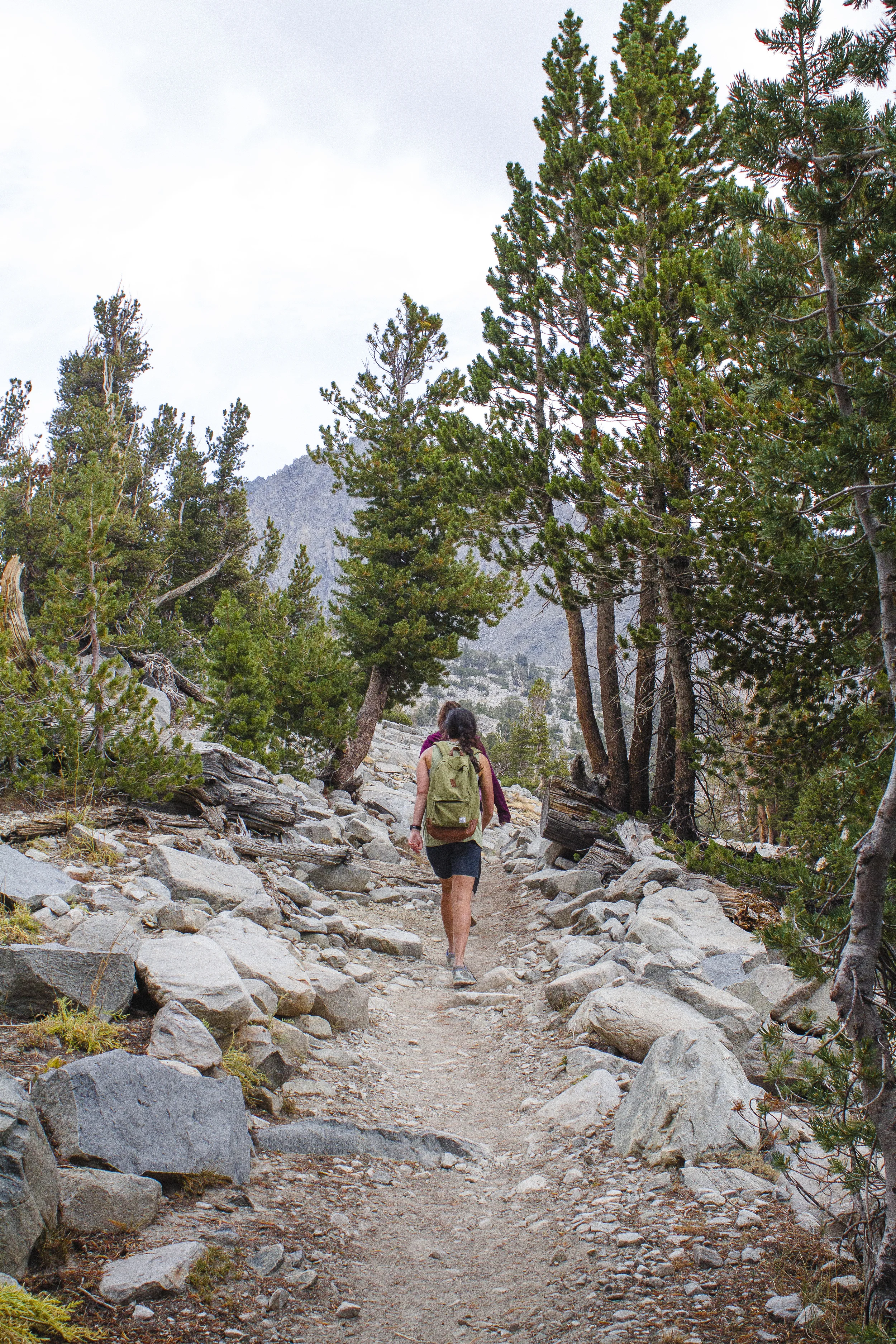 111414_MAMMOTH_268.JPG