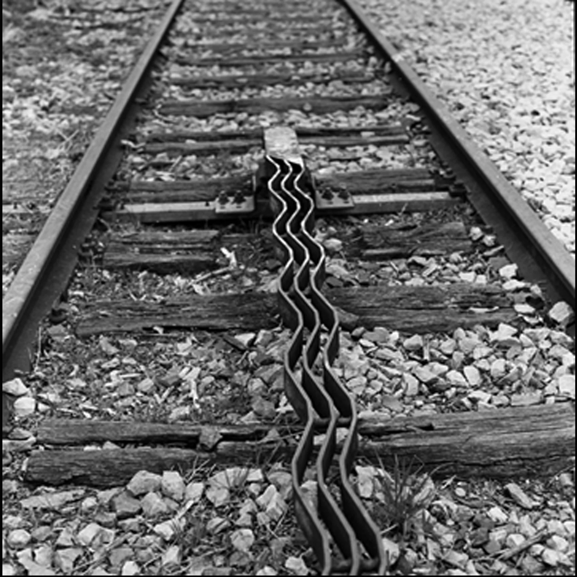 tracks2.2.jpg