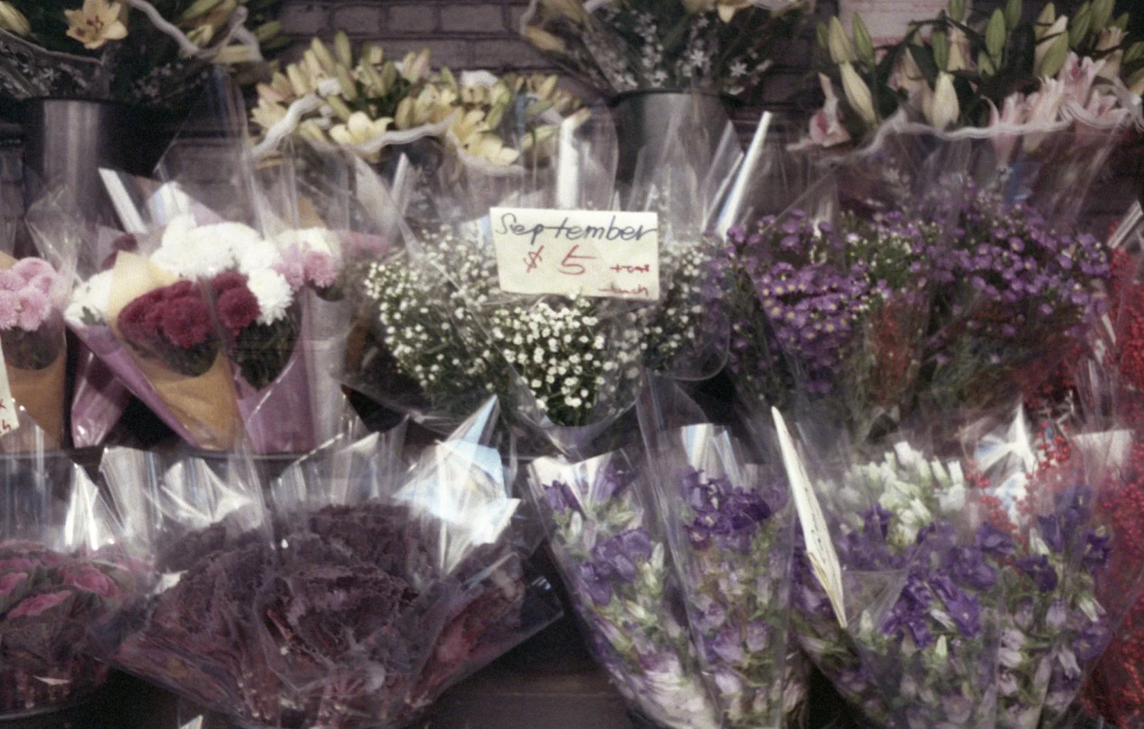 2expfuji1ny018.jpg