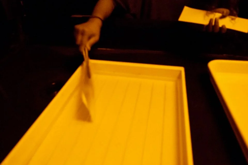 Intro_Print1.jpg