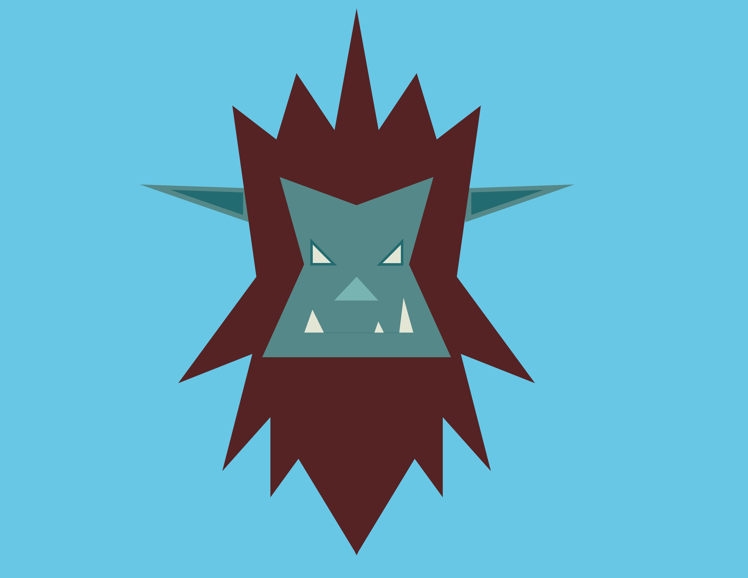 Programs: Adobe Illustrator