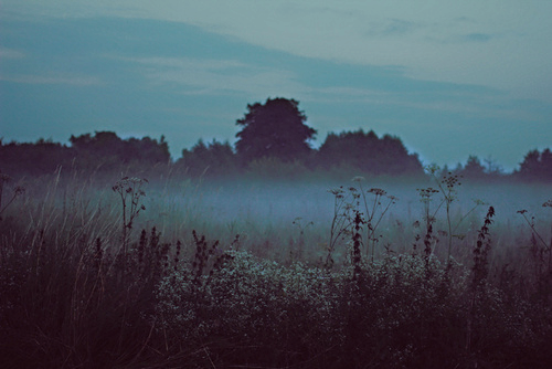 tumblr_n2ia461REz1svrh8zo2_500.jpg