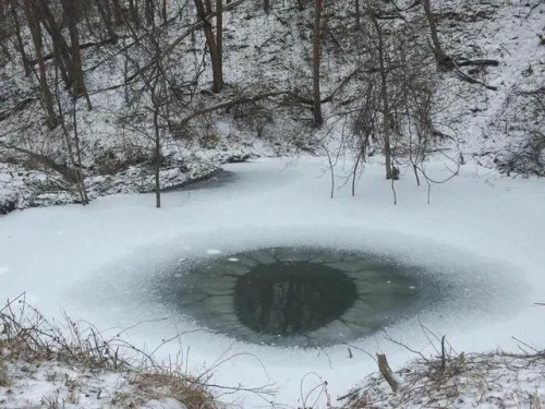 tumblr_plrojzvI4e1sdzi60_500.jpg