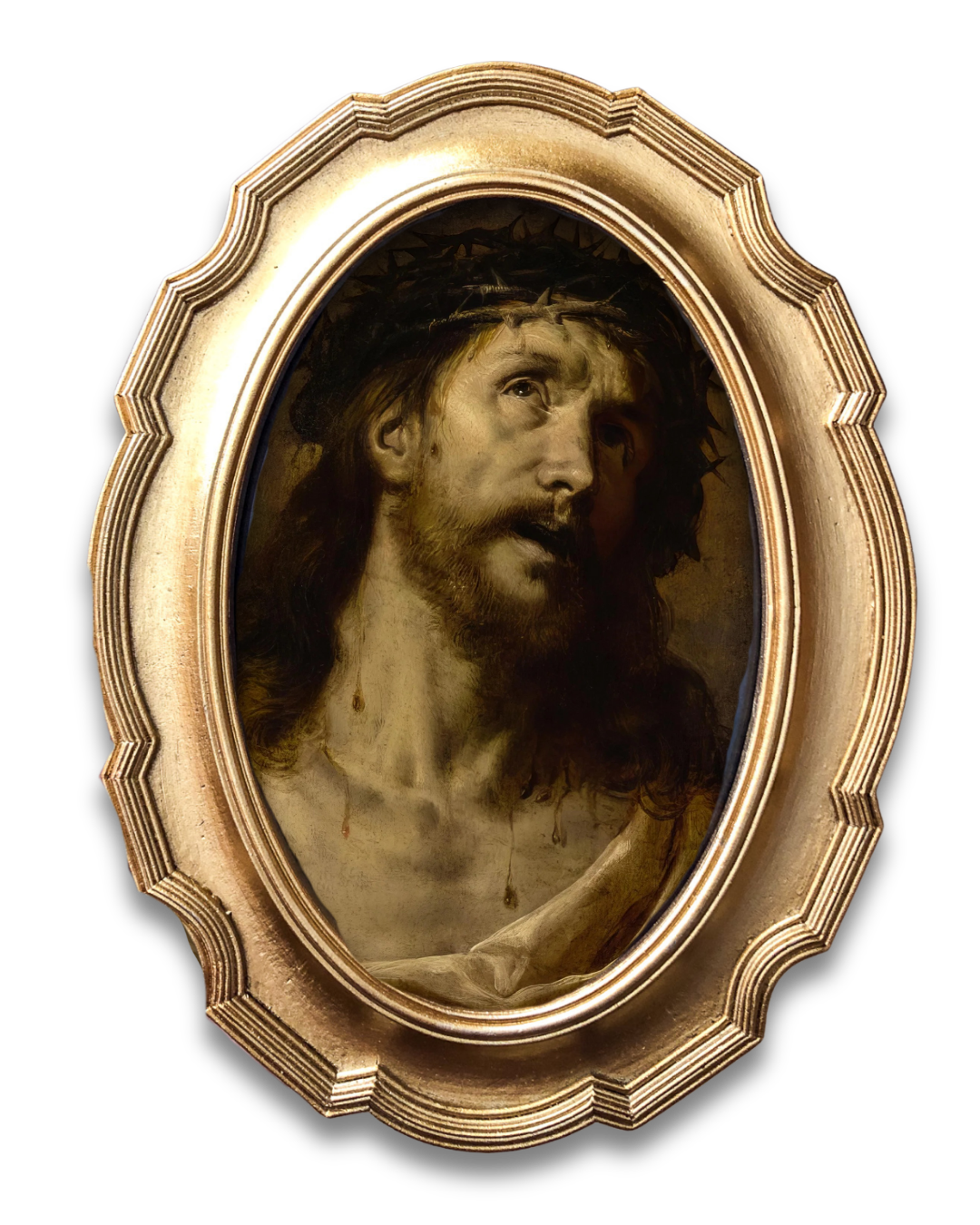 Framed Vintage Crown of Thorns Print