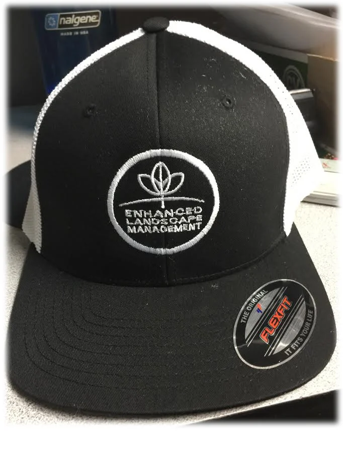 EL hat.jpg