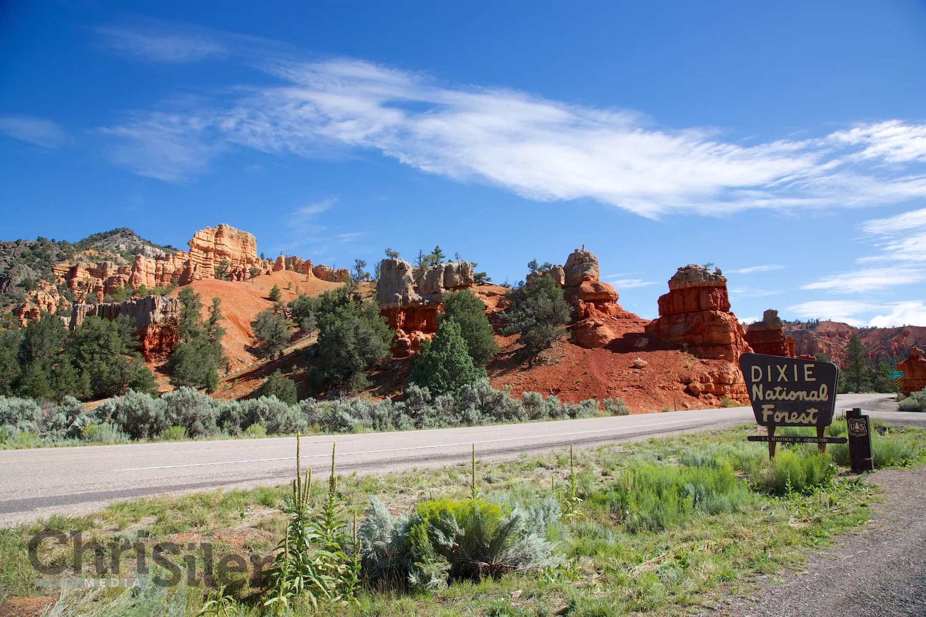 Dixie National Forest