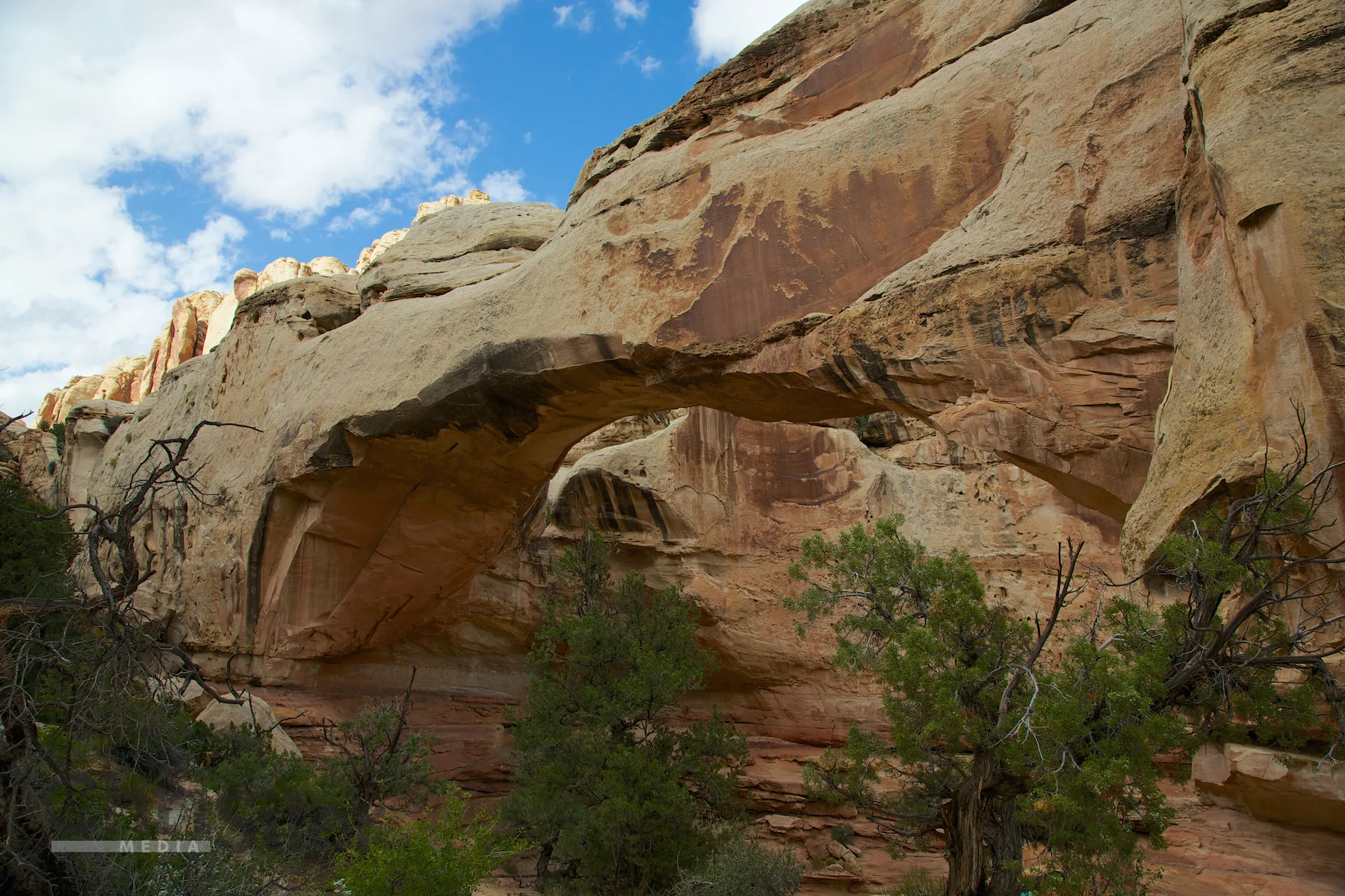 Hickman Bridge at Capitol Reef