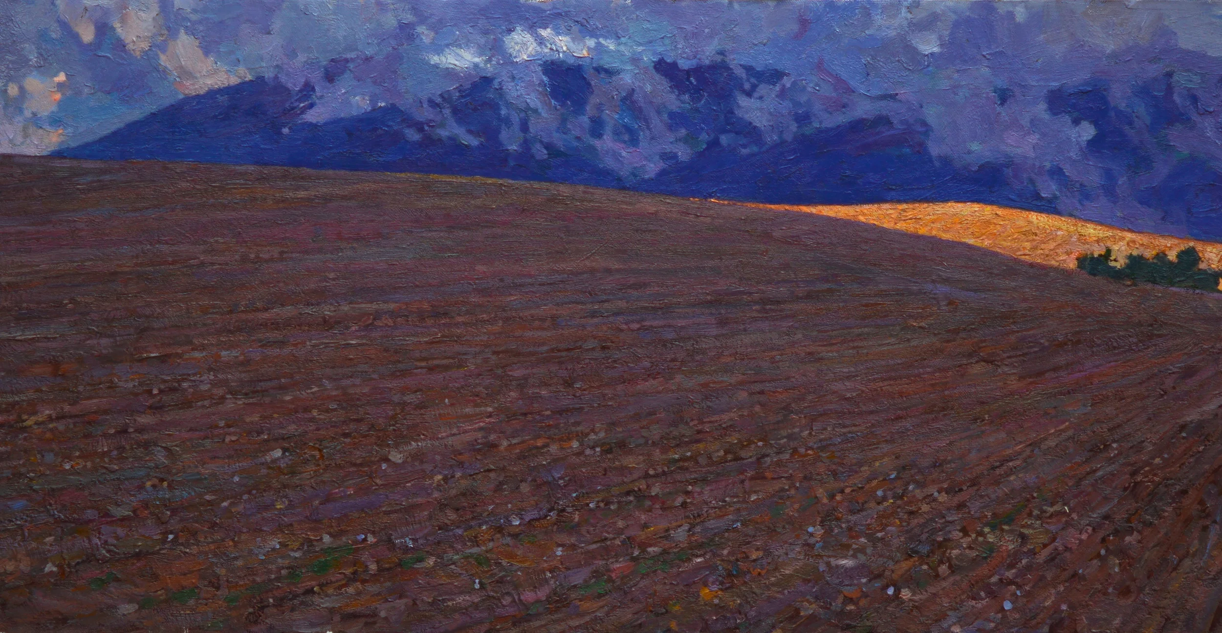  Timur Akhriev  Title:&nbsp;Sunspot in Spain  15" x 27.5'' Oil on LInen. 2013. Unframed $3900    