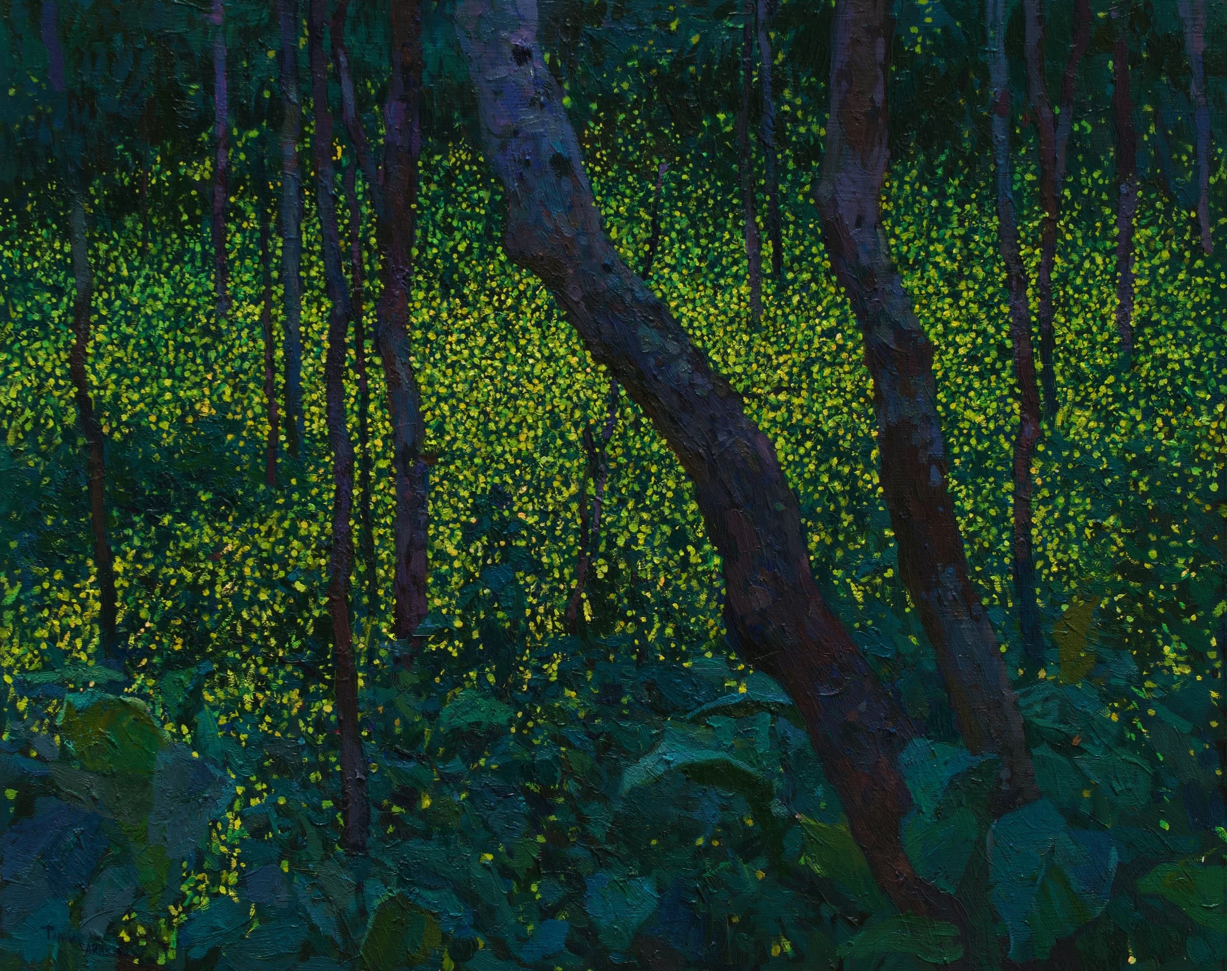 Illuminated Night