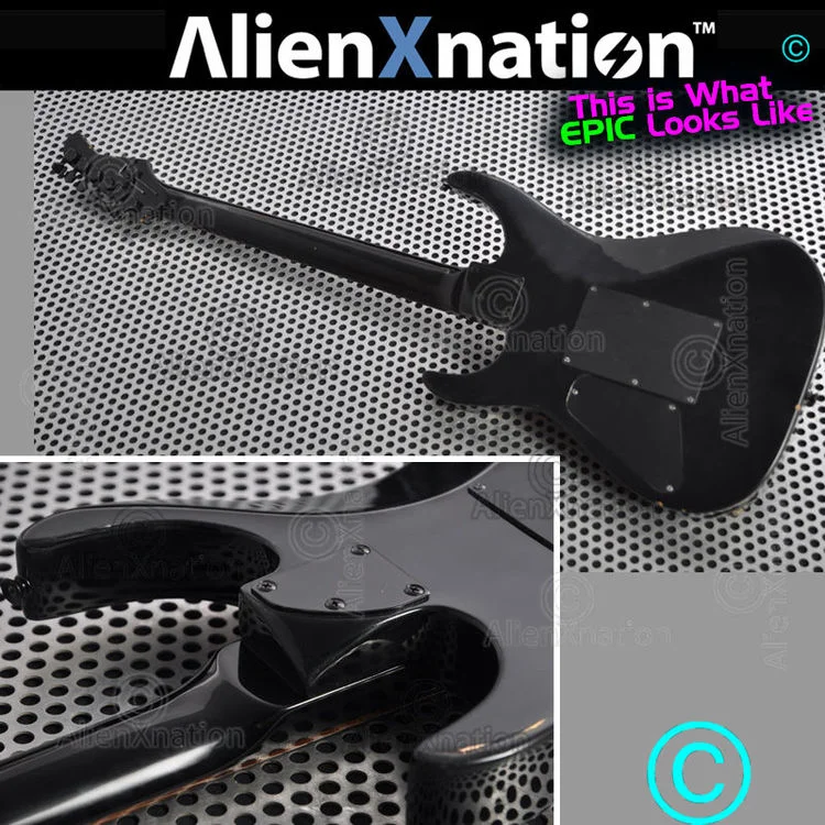 Fernandes Adrian Vandenberg — AXN™ Guitars