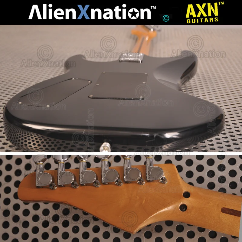 kramer-beak-neck-009.jpg