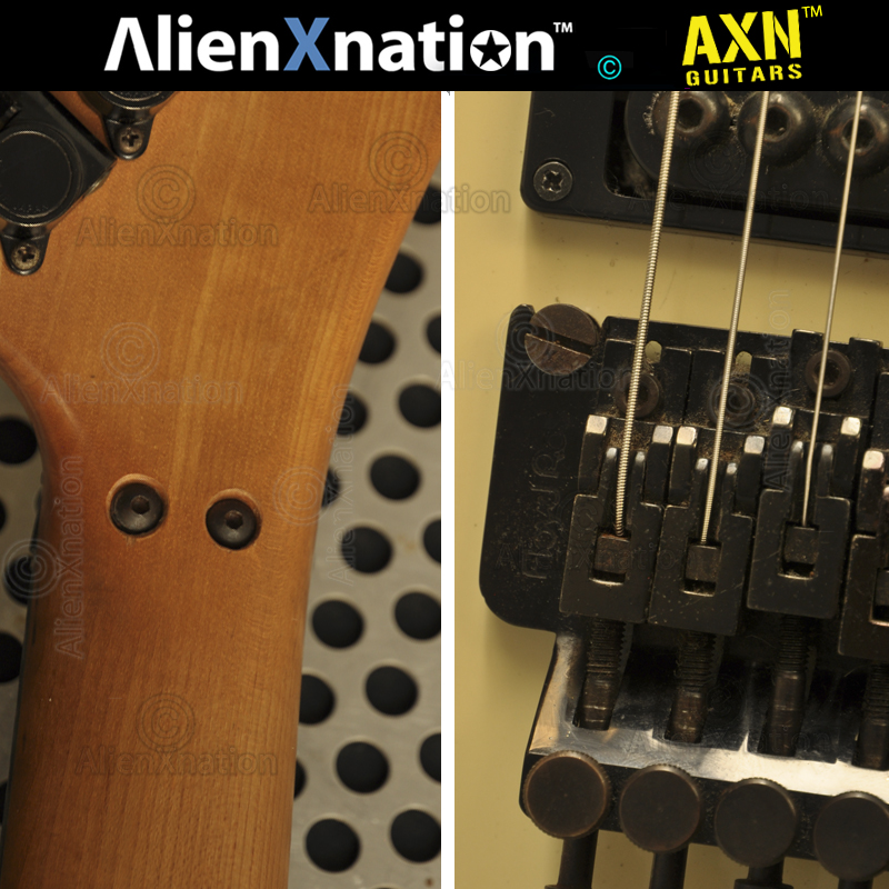 esp-reverse-tilt-lynch-0001.jpg