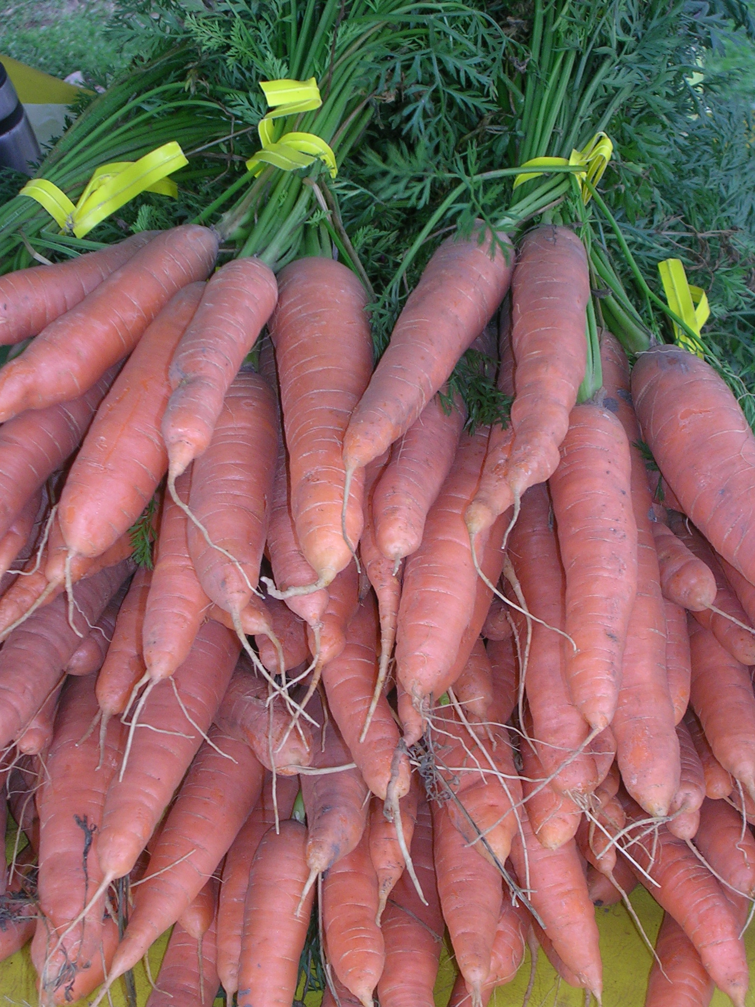 Carrots