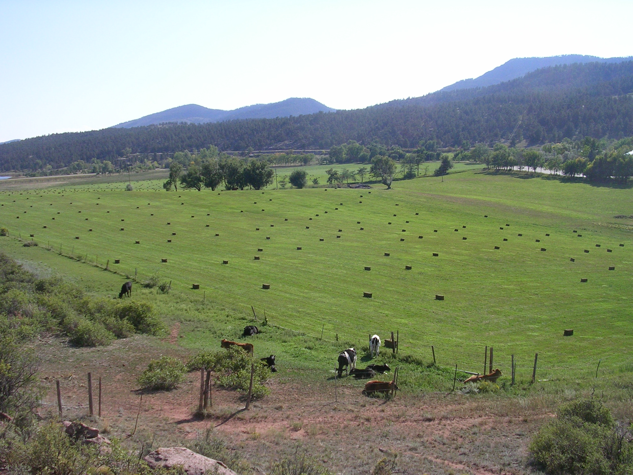 Pasture and Hay Bales