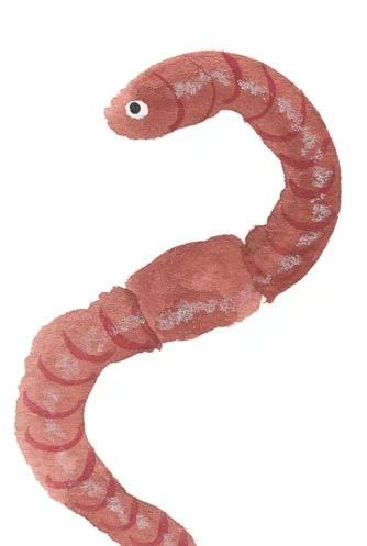 worm thumbnail.jpg