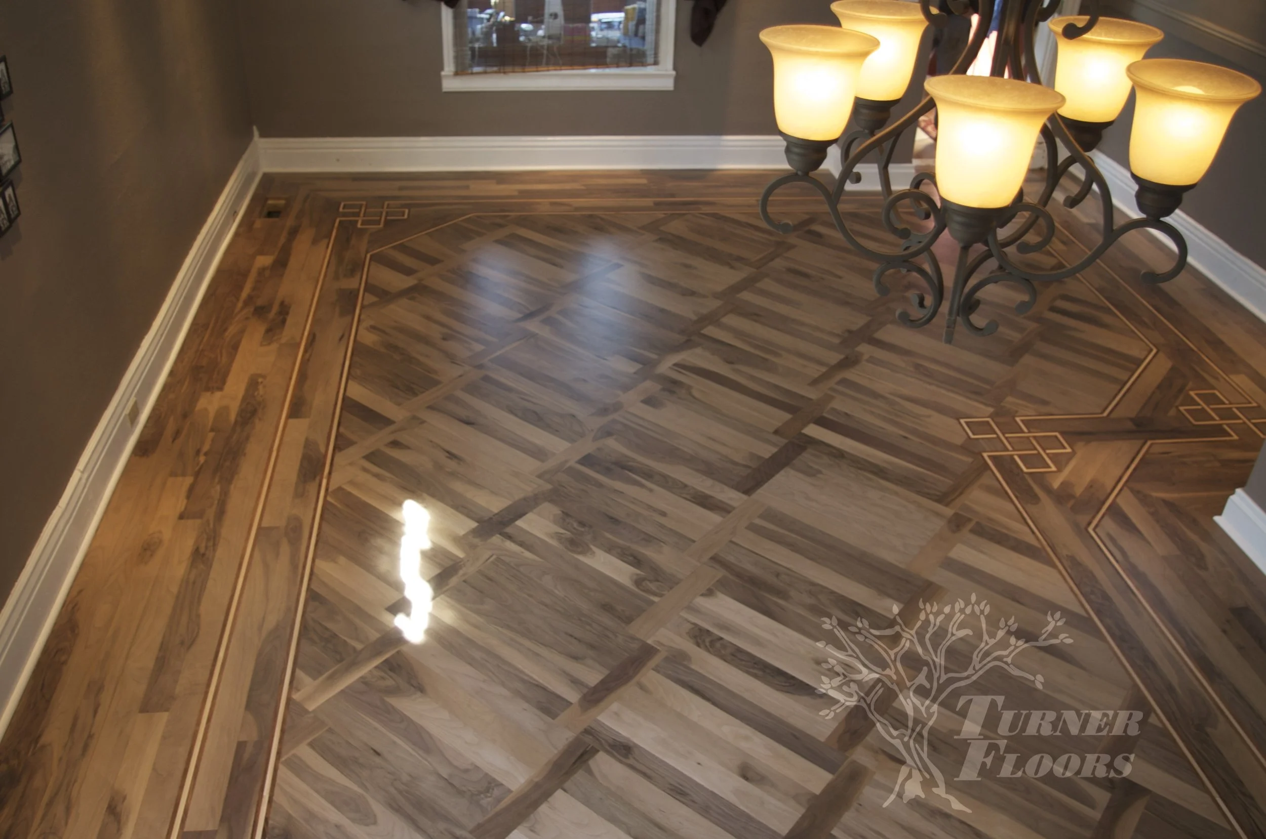 North American Black Walnut
