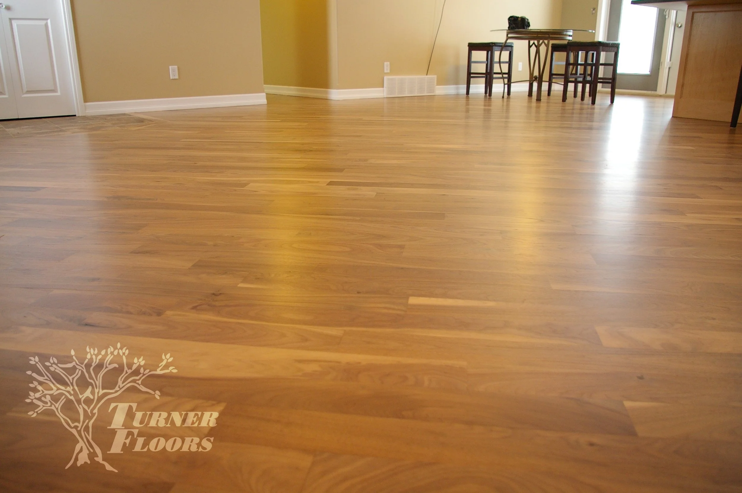 North American Black Walnut