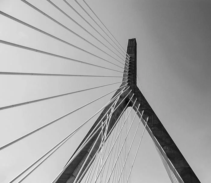 4561294427_9f52428a40_b.jpg