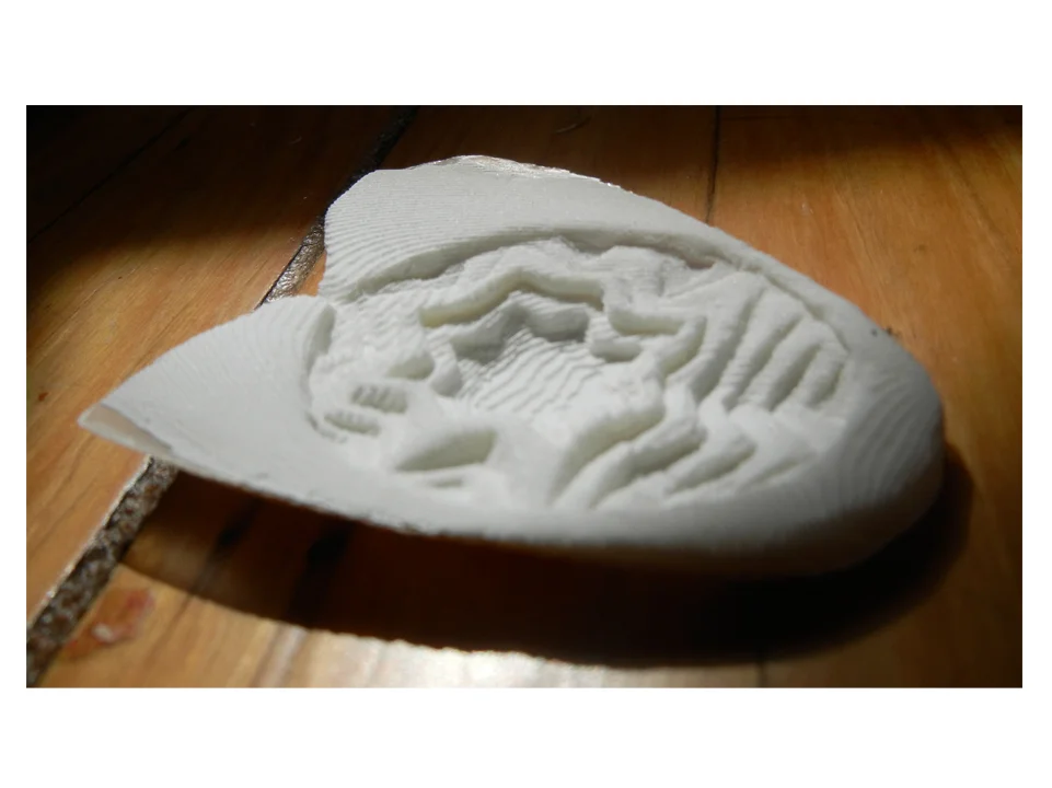 cuttlebone.jpg