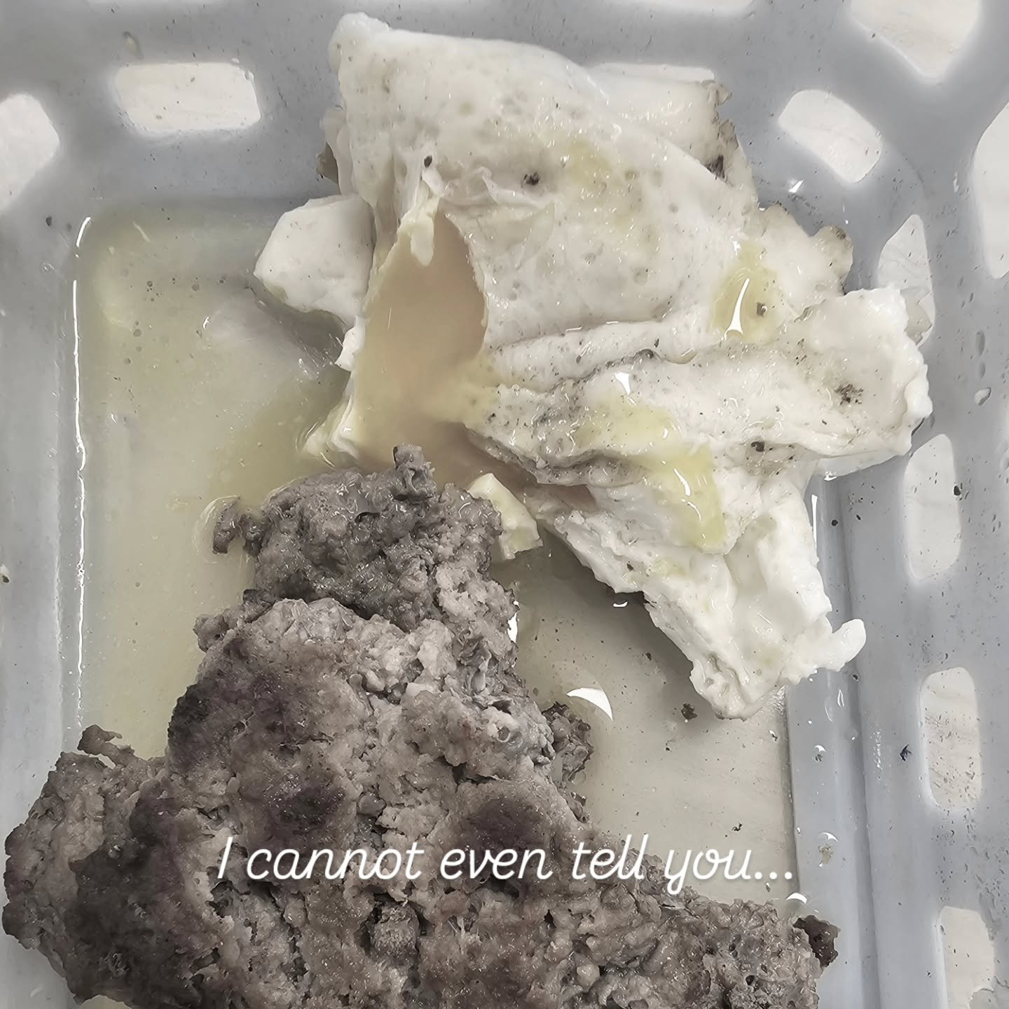 Every. Single. Time.

Ground beef from Costco, grass fed, for about $6.50 a pound. Eggs are also Costco, organic, $8 for 2 dozen! 

Cheap cheap cheap!