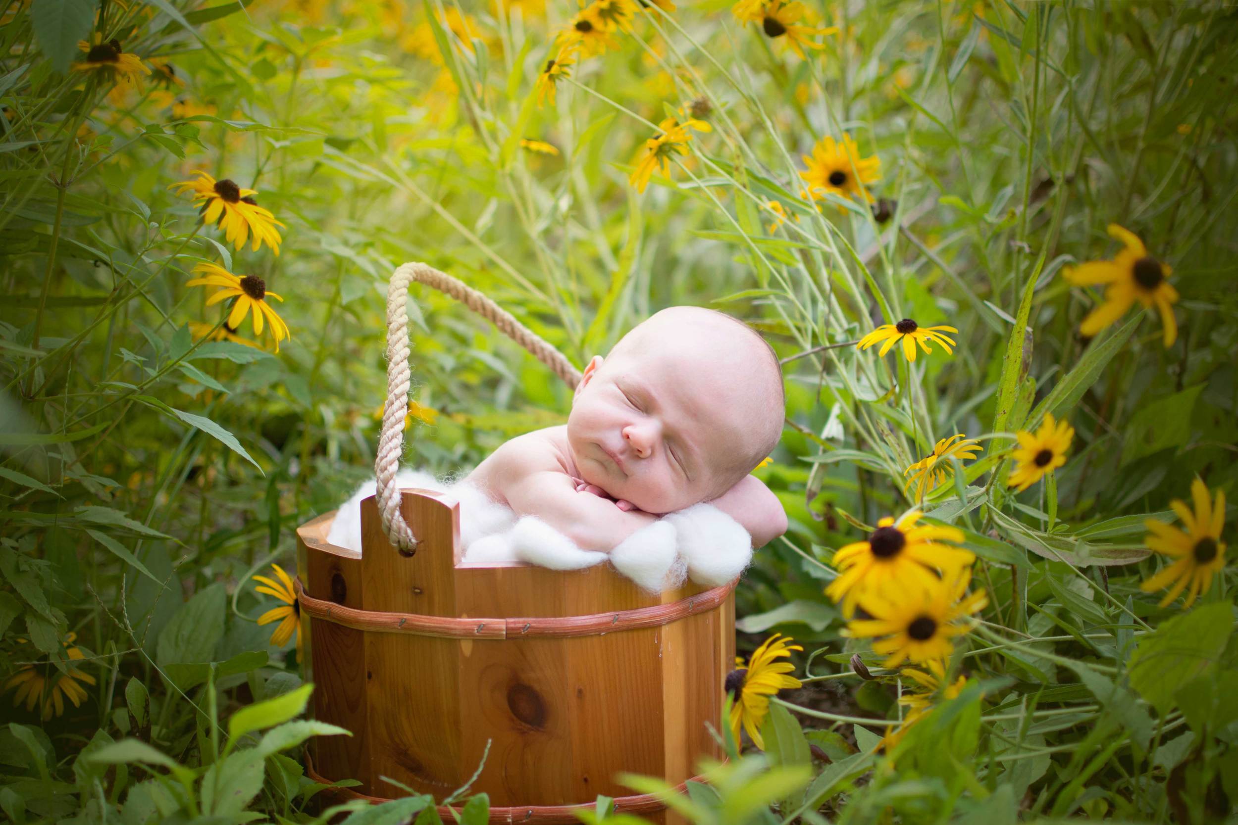 Michelle Rodgers Studio