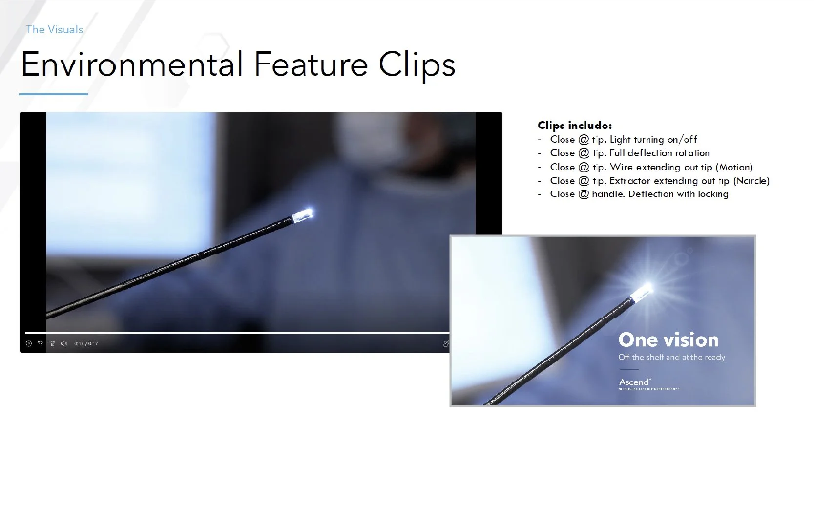 Environmental Feature Clips