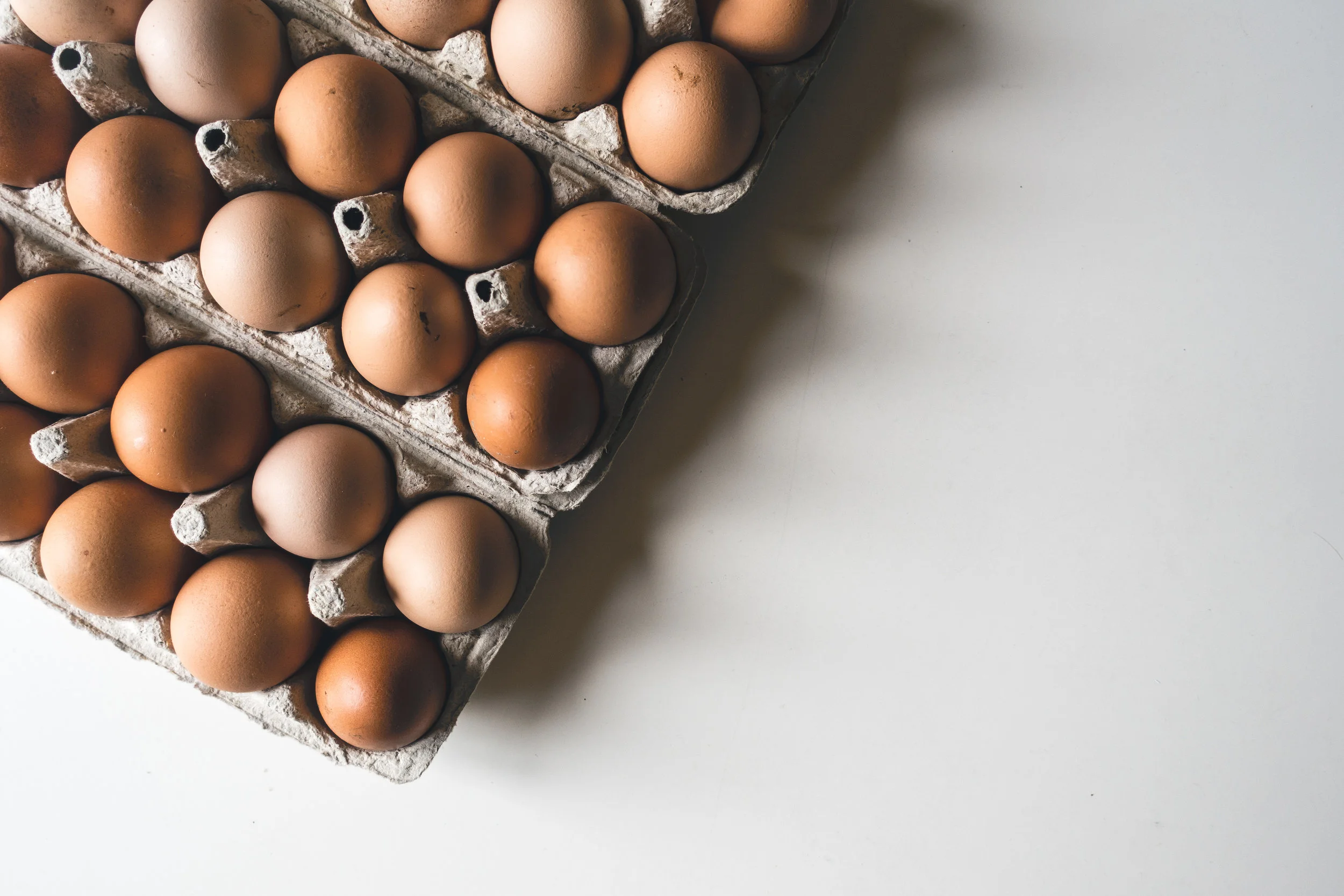 foodiesfeed.com_eggs-in-a-shadow.jpg