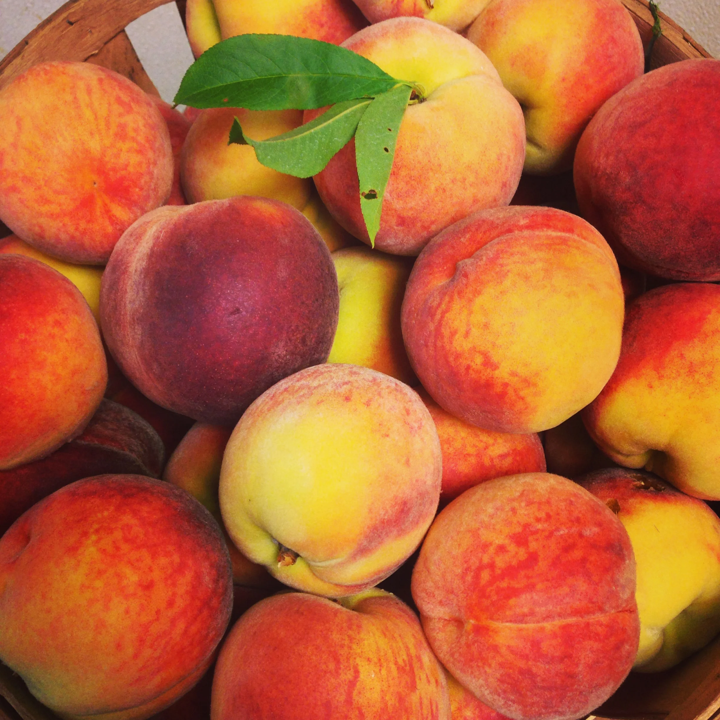 Peach Week 2014 – Locally Grown and Delicious