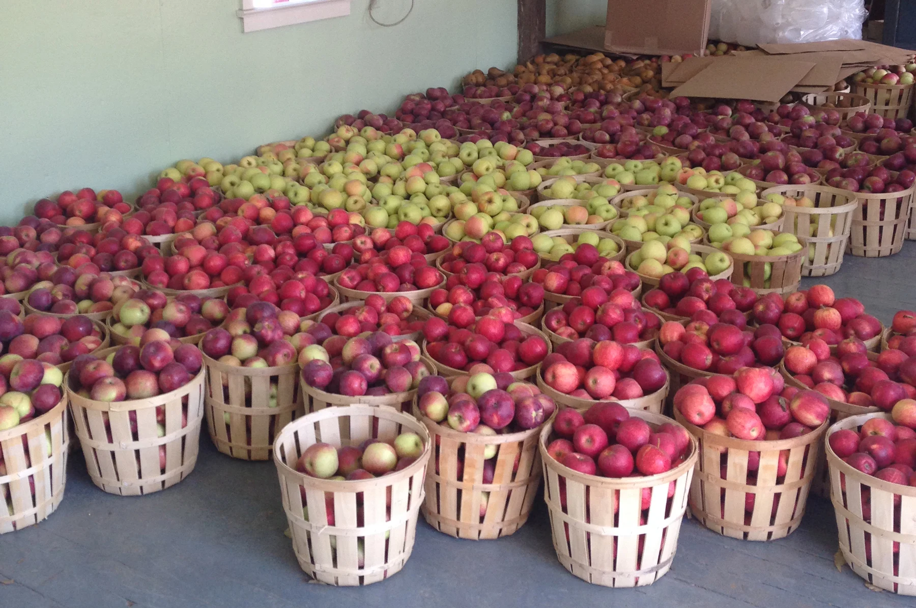 Locally Farmed Apple Week, October 8th - 15th