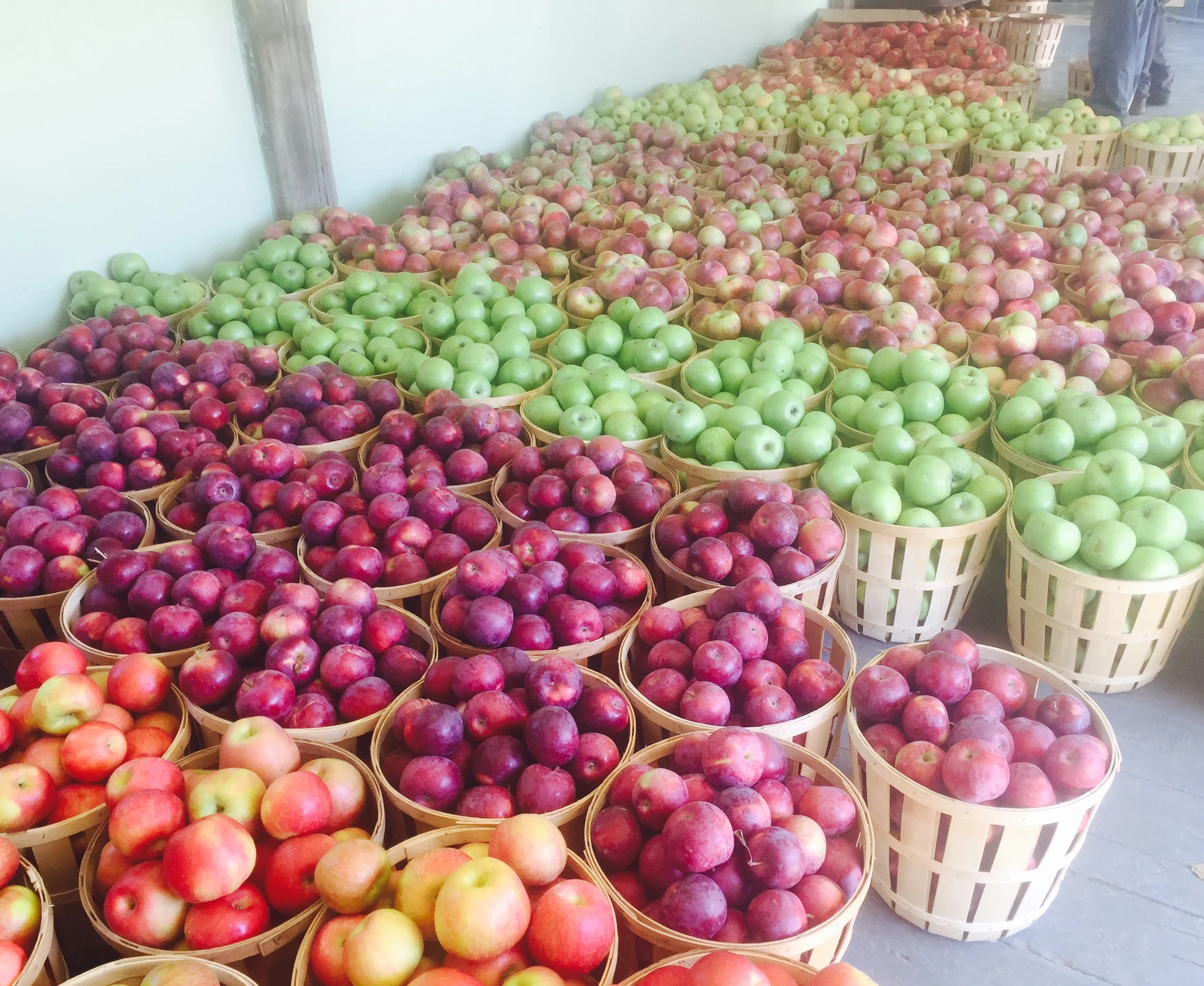 Apple Week October 7-13