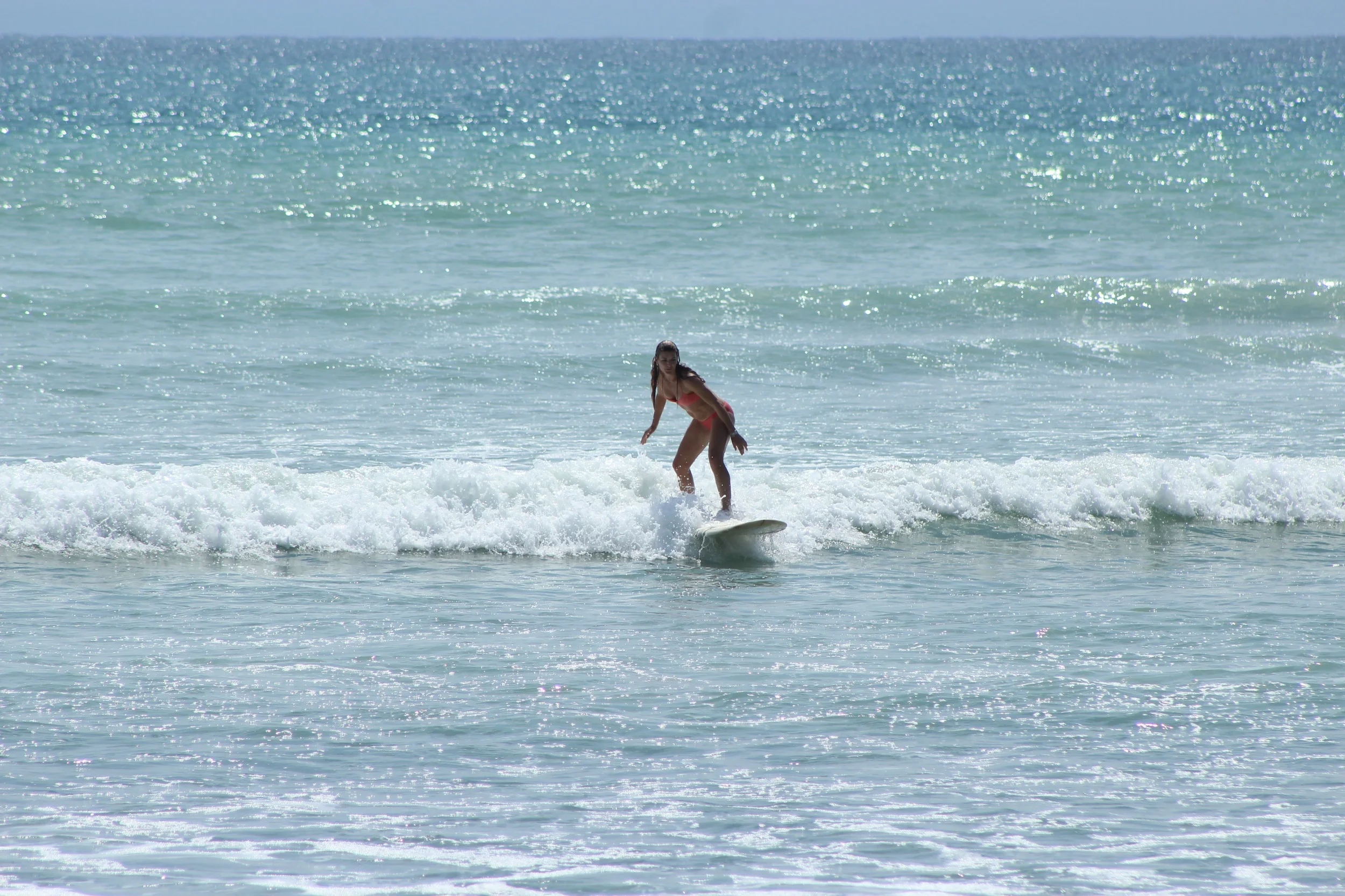 IMG_7295.jpg
