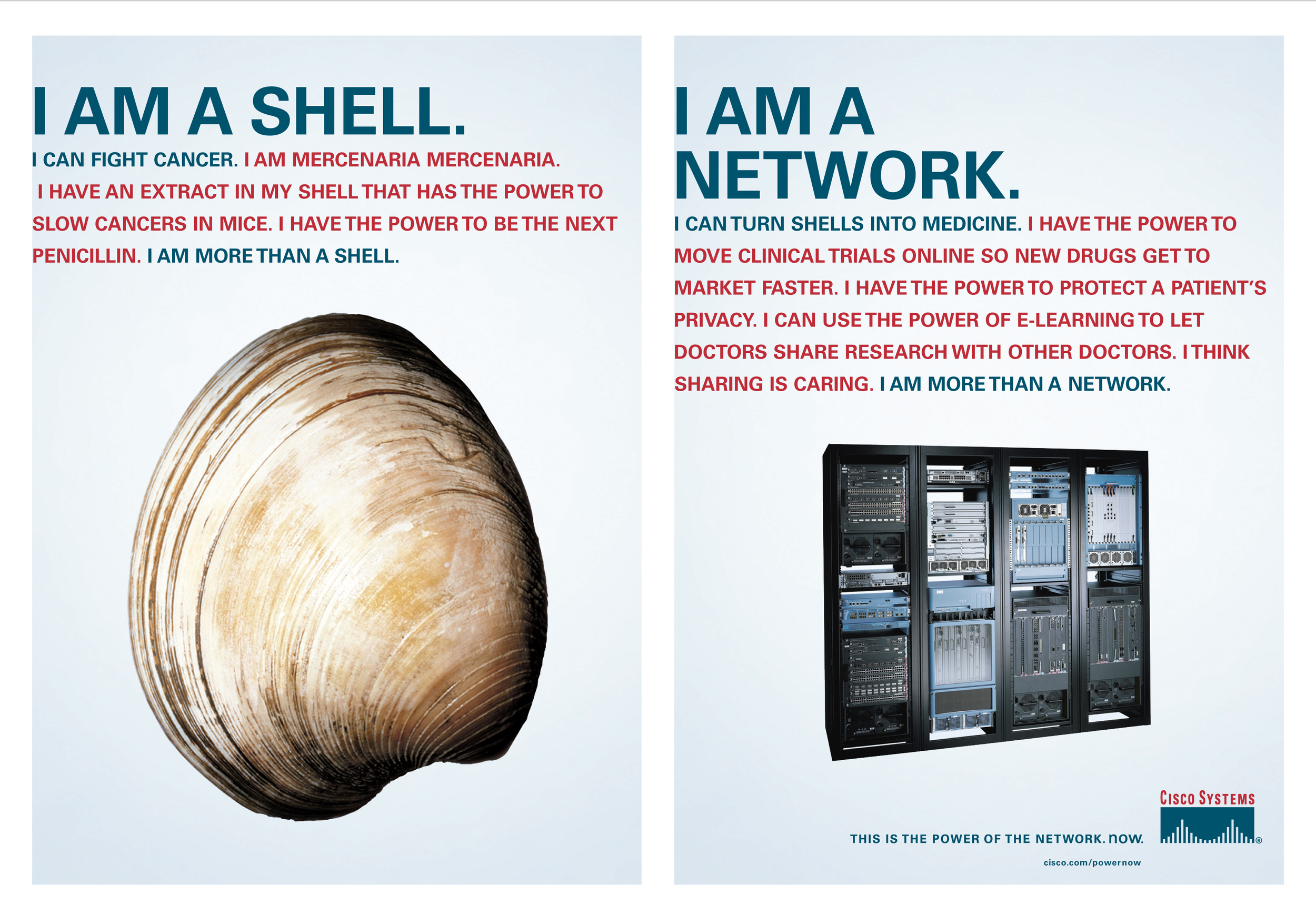 Cisco_Shell.jpg