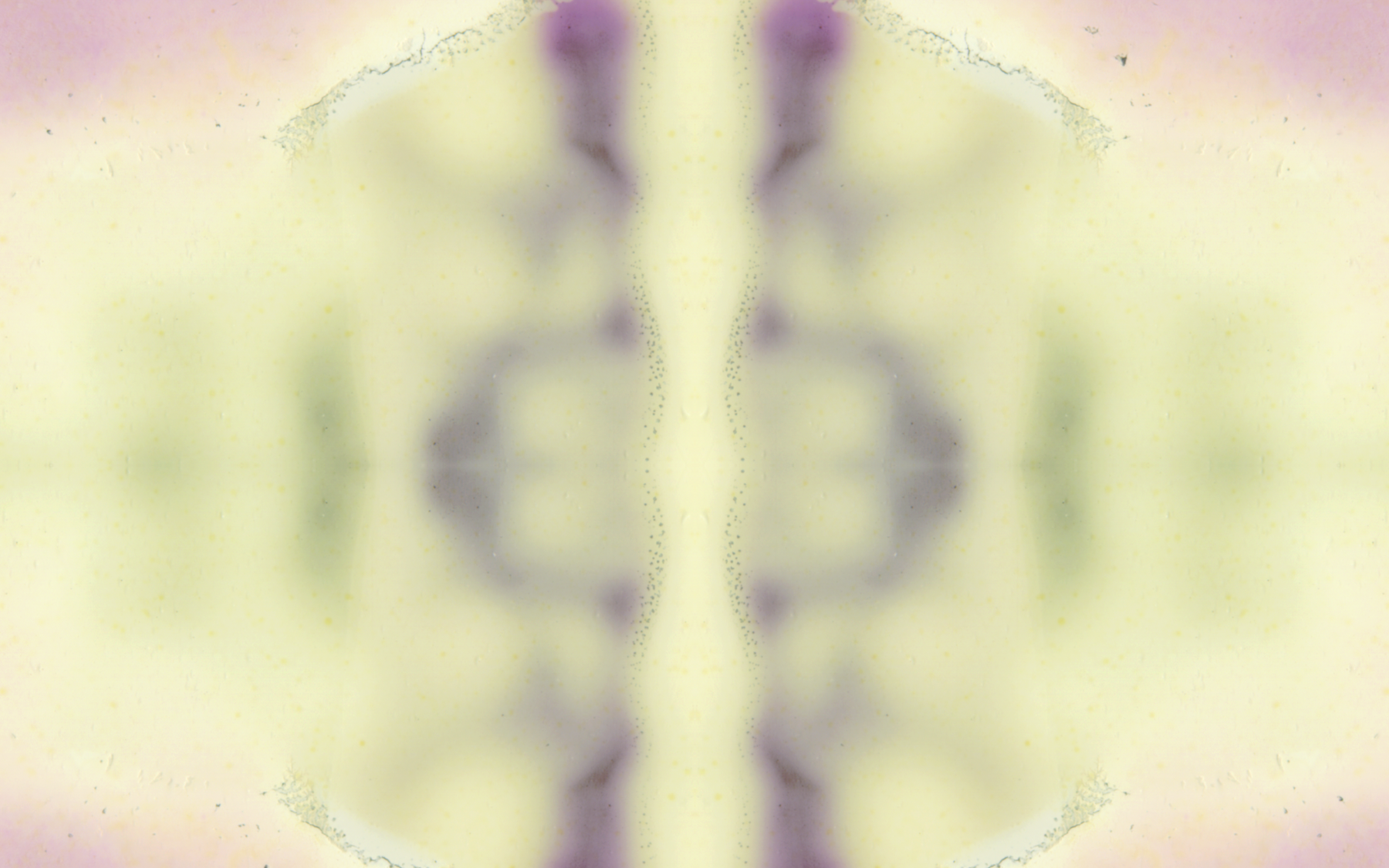 MDP Artworks - Detail Focus 01.png