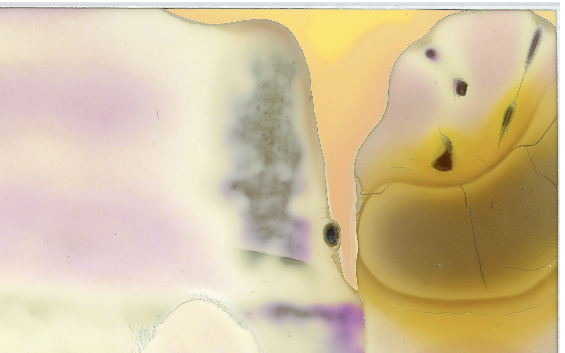 MDP Artworks - Detail Focus 04.png