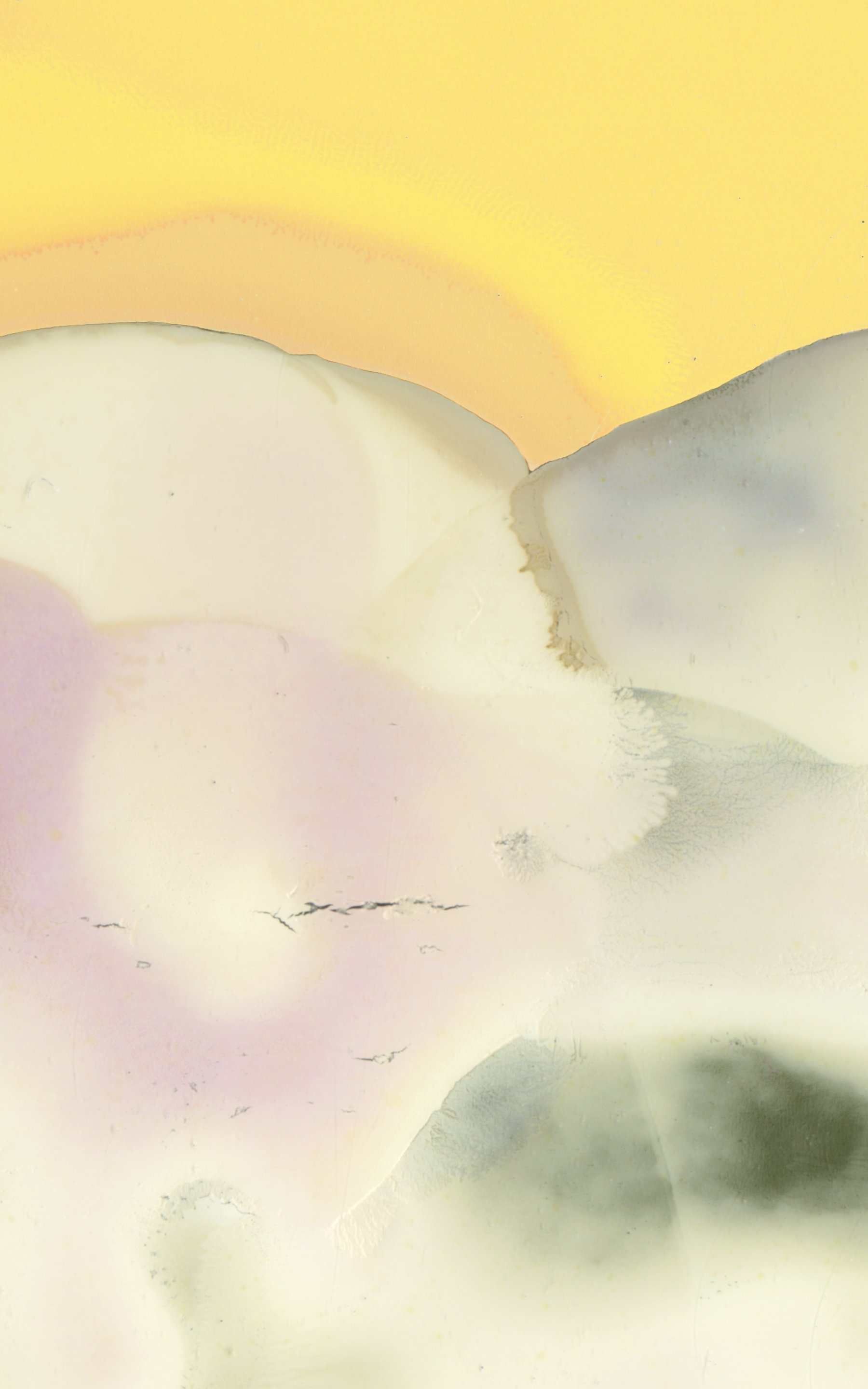 MDP Artworks - Detail Focus 07.png